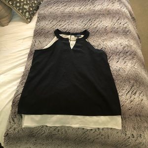 The Limited Blouse